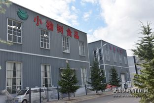 甘肃第一个水果玉米加工厂在武山建成投产